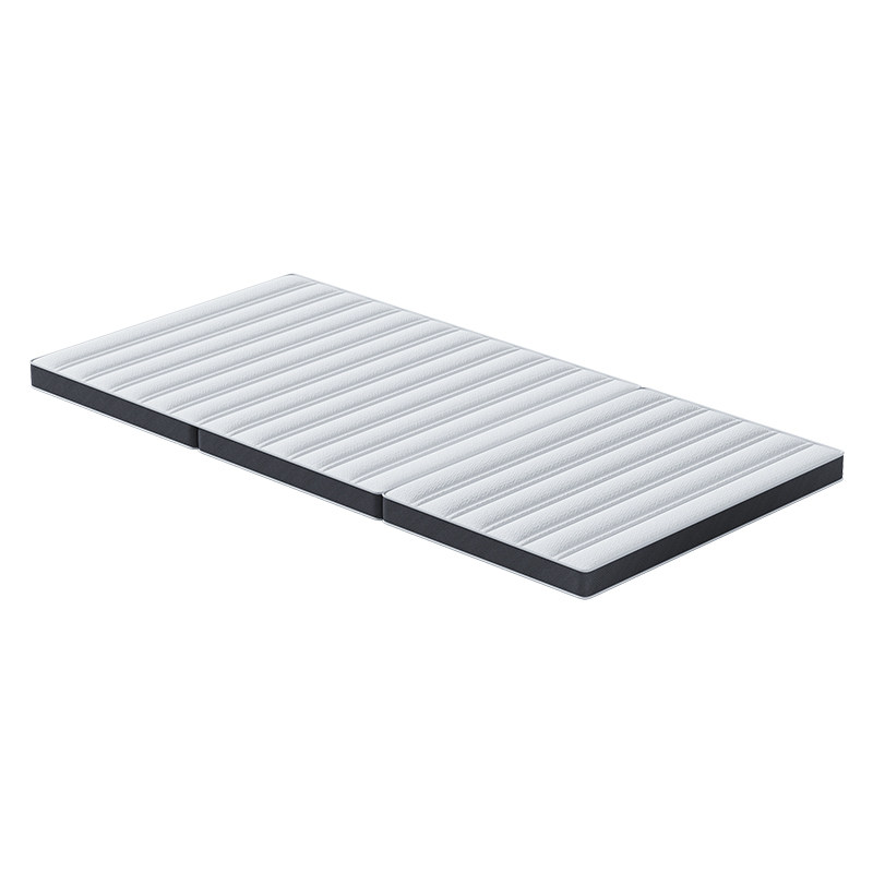 爱舒椰棕床垫护脊学生薄硬垫子