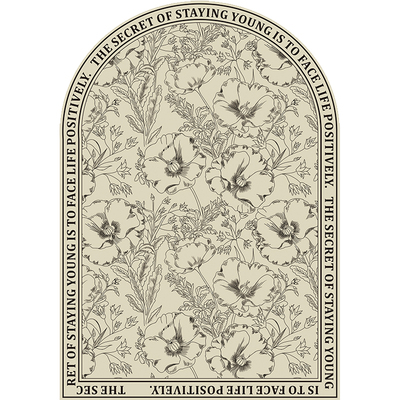 dmf皮革法式入户门地垫一擦净