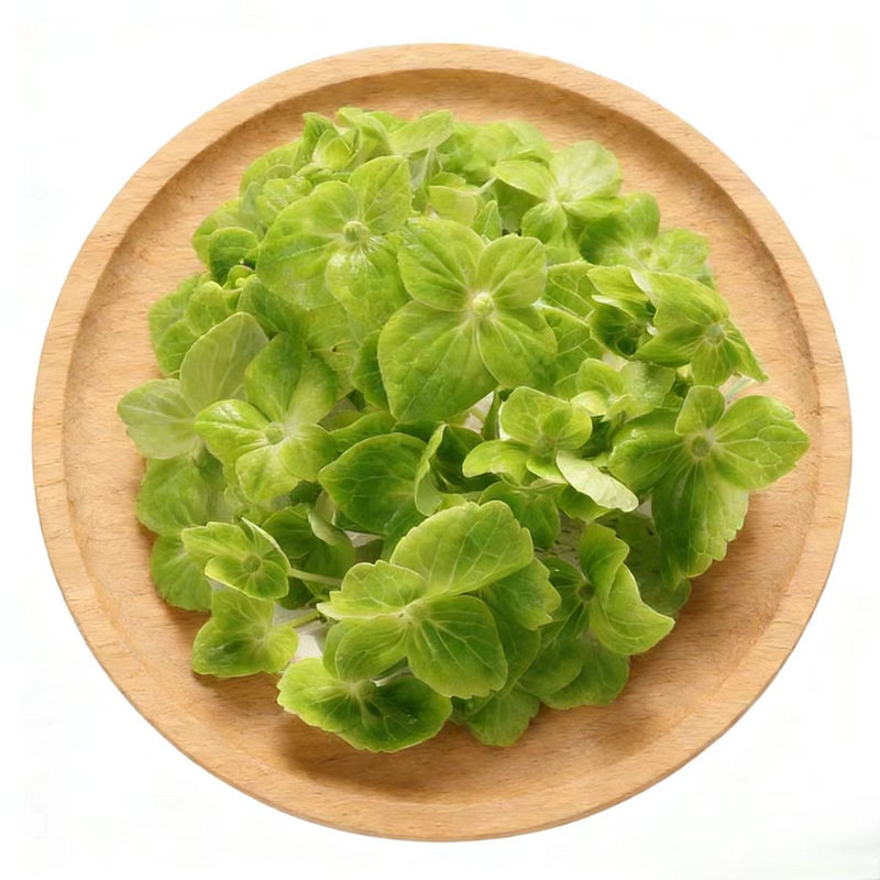 新鲜进口绿绣球花瓣 绿色粉色蓝色食用花日料西餐蛋糕摆盘花草