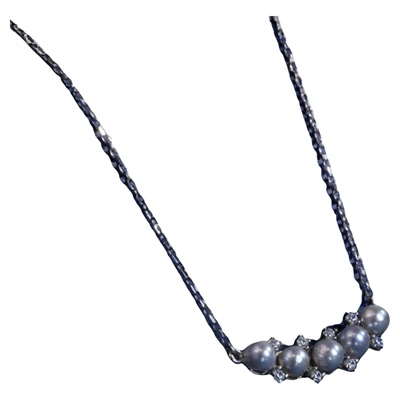 赵哥直播专属福利