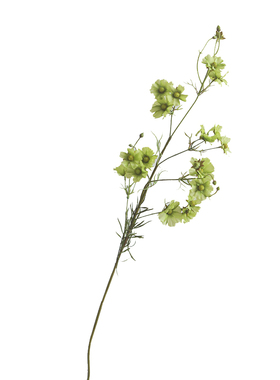 绿色清新仿真花金鸡菊假花