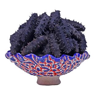 老王大连海参干货250g拍两份500克 野生淡干海参旗舰店辽参礼盒装