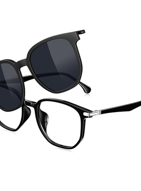 派丽蒙偏光墨镜夹片两用近视眼镜