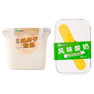 新疆西域春奶皮子饭盒酸奶盒桶装酸奶营养代餐水果捞酸奶1kg*2盒