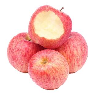 顺丰包邮高端2025年新果鉴赏级烟台栖霞红富士苹果条纹果礼盒