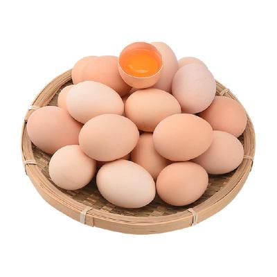 晨诚正宗新鲜土鸡蛋农家散养营养柴草鸡蛋45g*50枚谷物草鸡蛋整箱