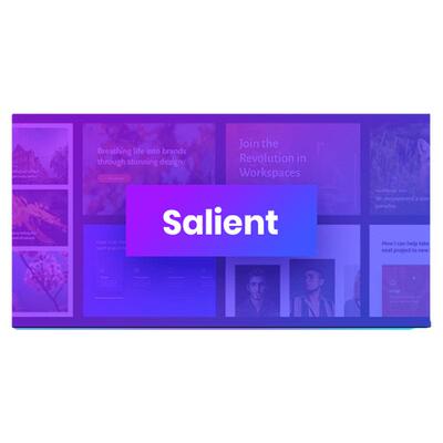 Salient WP主题 Wordpress 创意酷炫多功能响应式企业网站模板