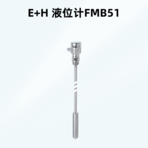 议价EH 静压式液位计FMB51 杆式压力传感器采用元件用于静压式物