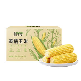 新主良黄糯/白糯玉米真空白皮东北黑土地新鲜玉米
