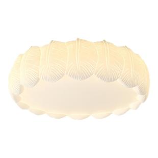 卧室灯吸顶灯全光谱奶油风2026羽毛吊灯新款房间网红圆形中山灯具