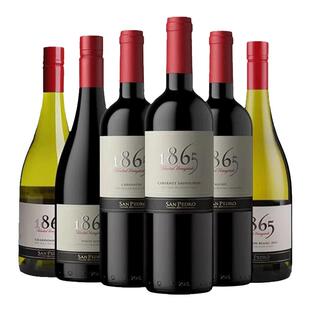 VSPT 圣佩德罗1865智利原瓶进口干白葡萄酒长相思霞多丽750ml