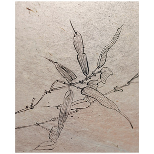 山百集宣纸书法专用回流蚕茧蝉翼纸质宣纸檀皮半生熟安徽泾县宣纸