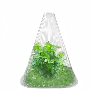 育苗保护透明钟罩重复使用方形温室植物大棚免受鸟类霜冻伤害加厚