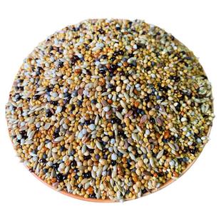 七彩文鸟 芙蓉鸟 金丝雀鸟 珍珠鸟芙蓉鸟玉鸟食混合鸟食鸟粮饲料