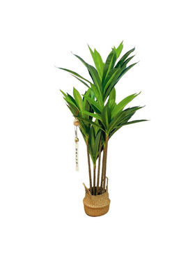 北欧风仿真绿植组合 油橄榄树+巴西木+散尾竹 落地大型假植物盆栽