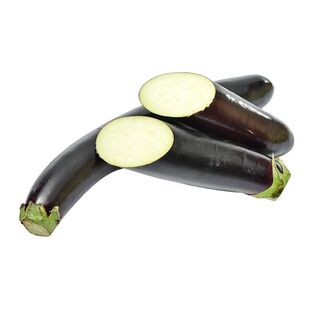 紫长茄秧苗带土穴盘苗黑长红长粗茄子耐寒耐热采收期长产量高软