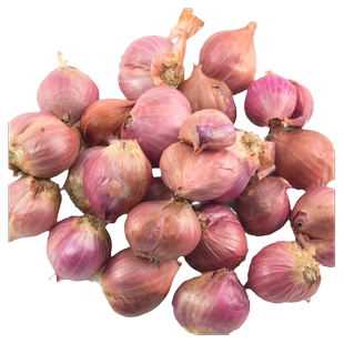 壹香 迷你小洋葱500g 紫皮小洋葱头珍珠洋葱东北毛葱小圆葱香料
