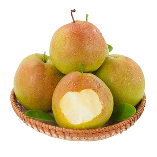 山西玉露香梨新鲜梨子脆冠苹果梨当季现摘水果红酥甜青梨整箱包邮