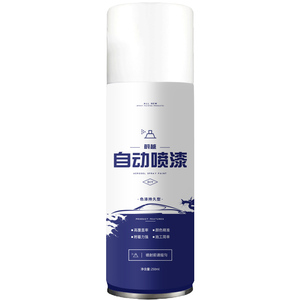 专车专用五菱荣光小卡汽车自喷漆