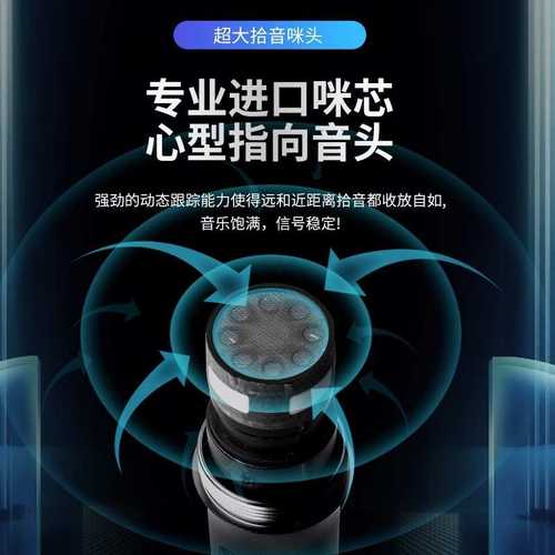 专业KTV无线话筒一拖二舞台婚庆演出u段调频动圈防啸叫k歌麦克风