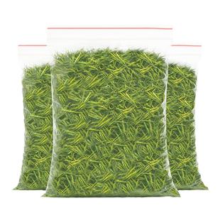 禾安堂2025新茶叶自己喝安吉白茶明前特级绿茶正品官方旗舰店春茶