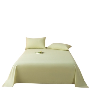 冬季纯棉床单单件100全棉磨毛2025新款单双人宿舍被单枕套三件套