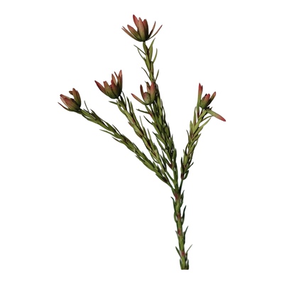 简约木百合仿真花束客厅花艺插花