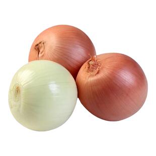 山东黄皮洋葱白肉手抓饭配料餐饮直供新货凉拌生吃新鲜直发皮牙子