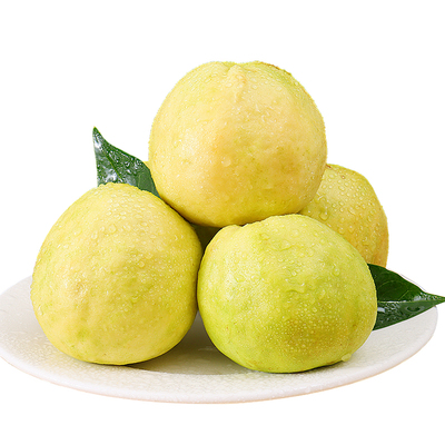 广西软心白心芭乐现摘水果番石榴