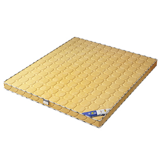 床垫椰棕偏硬护腰护脊纯棕榈10厘米折叠床垫对折租房专用纯总垫子