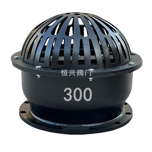 H42X-6法兰底阀 单向阀止回阀 铸铁水泵底阀DN50 80 100 150 200