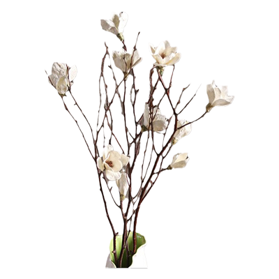 天猫优选落地玉兰花干枝花束