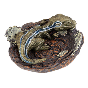 仿真实心恐龙幼崽静态双冠迅猛模型玩具棘龙动物塑胶霸王儿童摆件