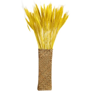 大麦花束天然麦穗干花婚庆永生花篮装饰小麦摆件摄影插花开业大麦