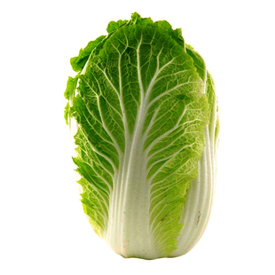 高产大白菜种子大全青菜山东黄心秋冬季四季青口义和秋种籽孑菜种