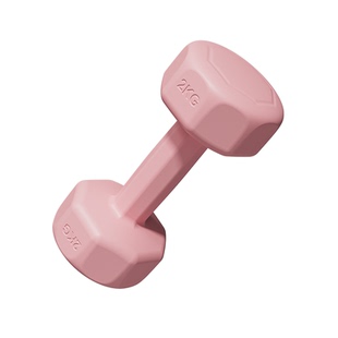 哑铃女士健身家用锻炼器材2kg3kg一对练臀肌瘦肚子居家健身器材