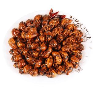 知了猴金蝉新鲜蝉蛹新鲜速冻非即食蚕蛹爬叉猴子爬蚱结了龟顺丰