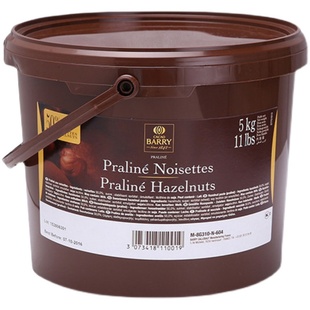 法国进口可可百利榛子酱坚果馅料50%100%西点装饰烘焙榛果酱250g