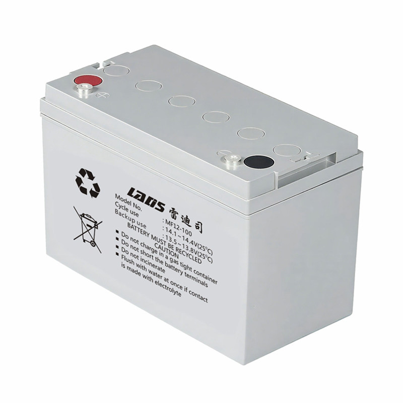 雷迪司UPS蓄电池12V100AH不间断电源MF12-100 铅酸电瓶蓄电池