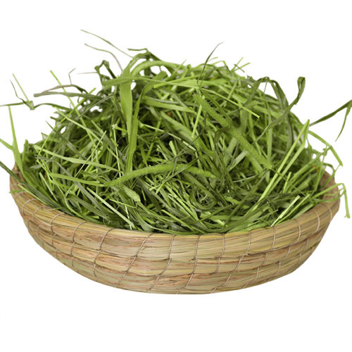 2025提摩西草干草兔子粮草食用兔粮饲料豚鼠荷兰猪的提莫晒干牧草