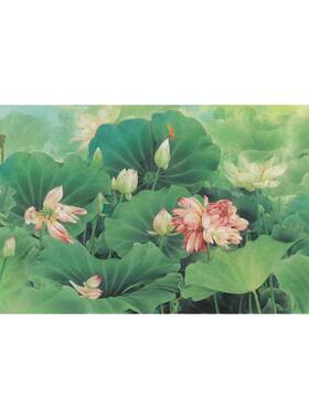 邹传安荷花高清工笔画