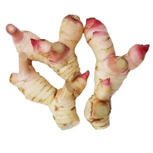 泰国冬阴功咖喱新鲜南姜良姜高良姜冬荫功汤原料白皮南姜泰国南姜