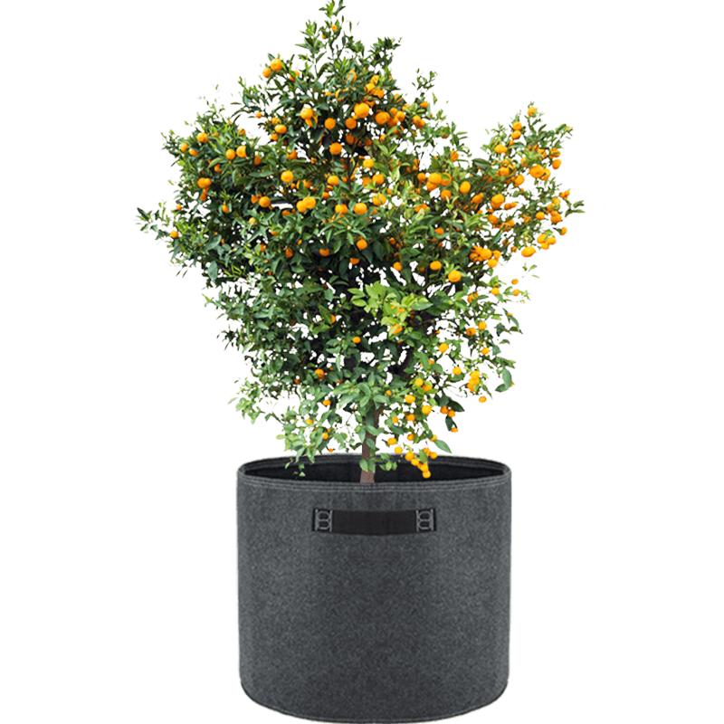 超大种植袋30加仑特大口径户外阳台庭院果树盆栽神器加厚加仑花盆