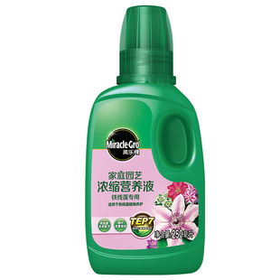 美乐棵铁线莲专用肥料营养液乌托邦大苗银币苹果花倒影爬藤花卉