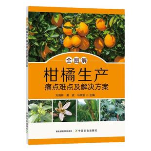全图解柑橘生产痛点难点及解决方案 柑橘种植书籍 芦柑砂糖橘桔子橘子树栽培技术大全 柑橘病虫害防治技术 整形修剪 果树管理月历