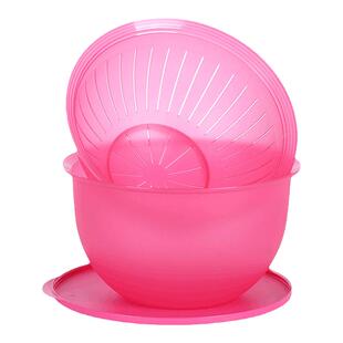 特百惠奇妙果菜篮4.3L水盆高颜值家用篮子新款塑料水果洗菜沥水篮