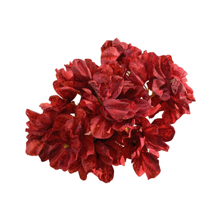 千恋万花~氛围感红色花朵发簪发钗汉服配饰发饰头饰订婚新娘头花