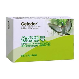 伤寒停鸽药新城意副伤寒负伤寒肠道格莱德鸽药官方旗舰店伤寒特号