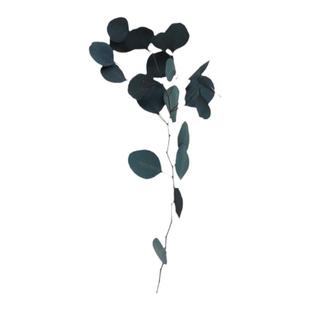 北欧轻奢永生尤加利苹果桉满天星玫瑰小雏菊样板客厅摆设干花装饰