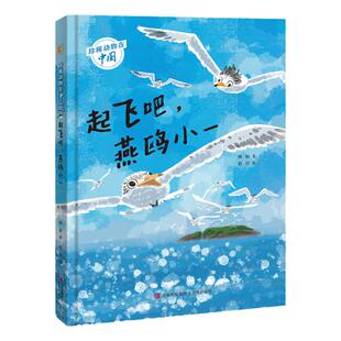 珍稀动物在中国:起飞吧,燕鸥小一珍稀物种中华凤头燕鸥的科普绘本 珍惜动物儿童绘本